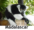 Histoires, anecdotes, brèves, adresses à Madagascar